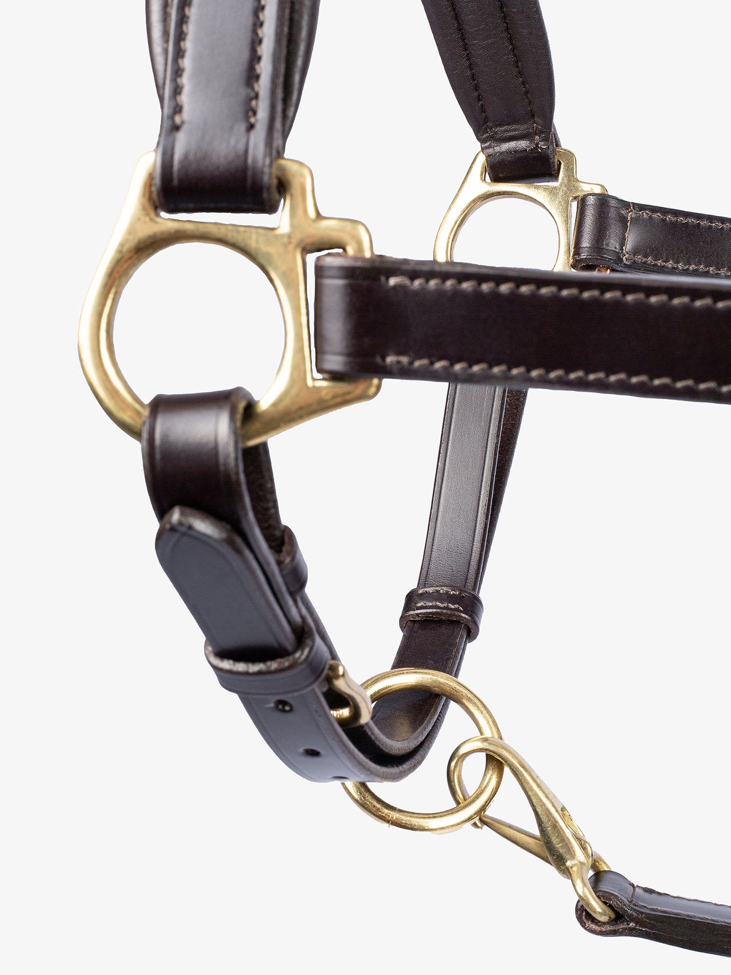 Halter Leather BROWN w Gold Buckles