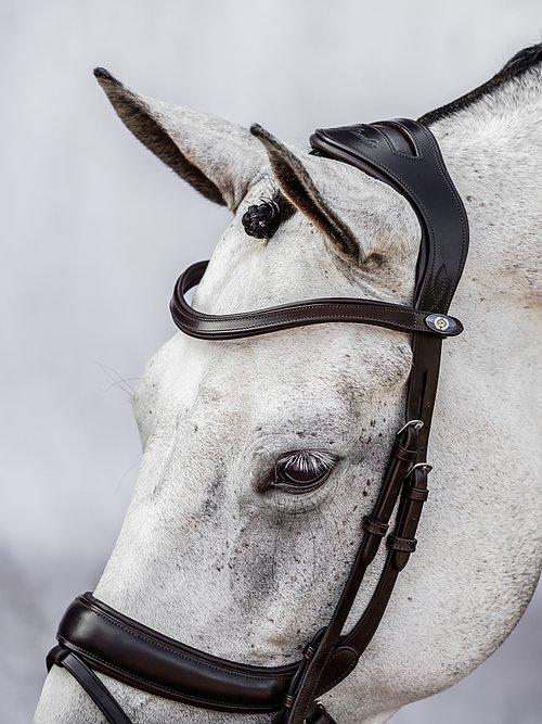 Palladin - PS Bridles