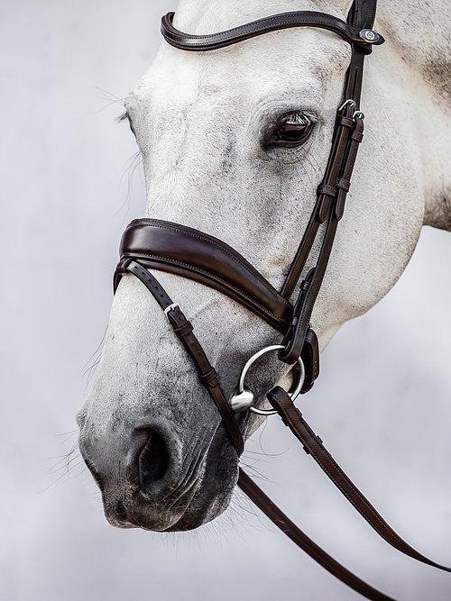 Flying Change - PS Bridles