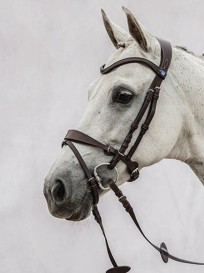 HvE - PS Bridles