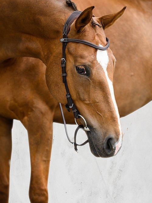 Helsinki - PS Bridles