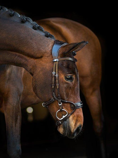 High Jump Revolution - PS Bridles