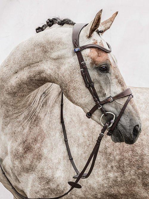 HvE - PS Bridles