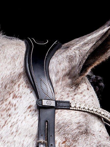 Pioneer - PS Bridles