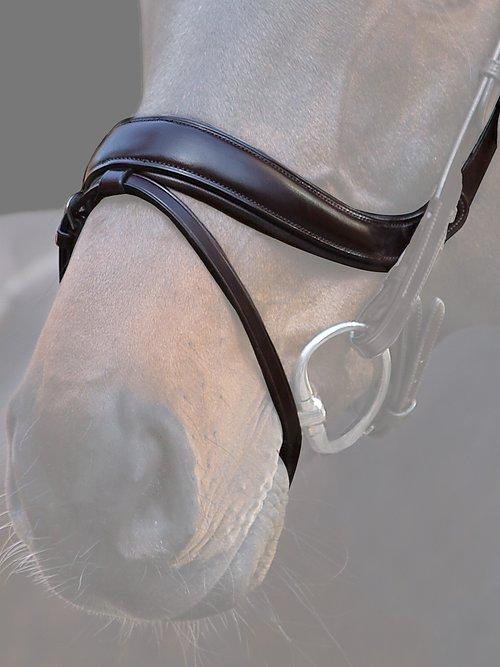 Palladin - PS Bridles