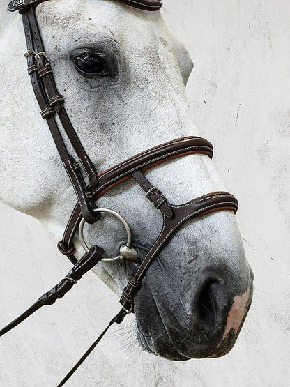 Paris - PS Bridles