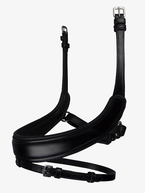 Palladin - PS Bridles