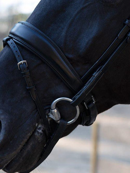 Flying Change - PS Bridles