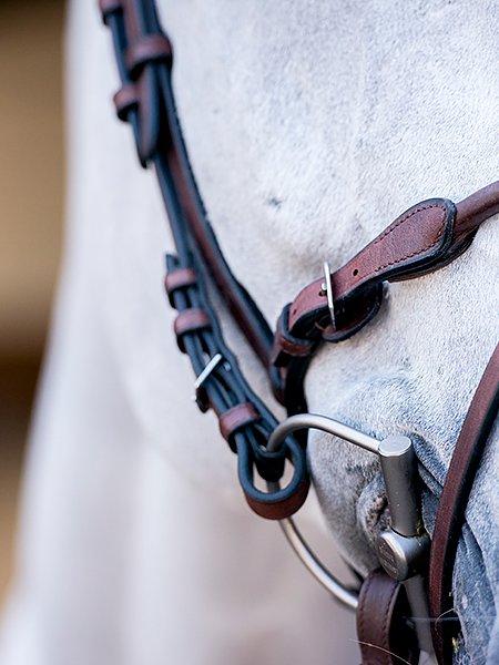 HvE - PS Bridles