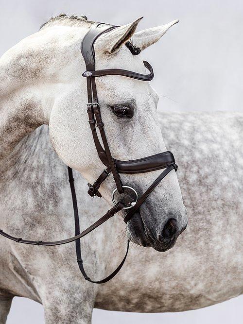 Palladin - PS Bridles