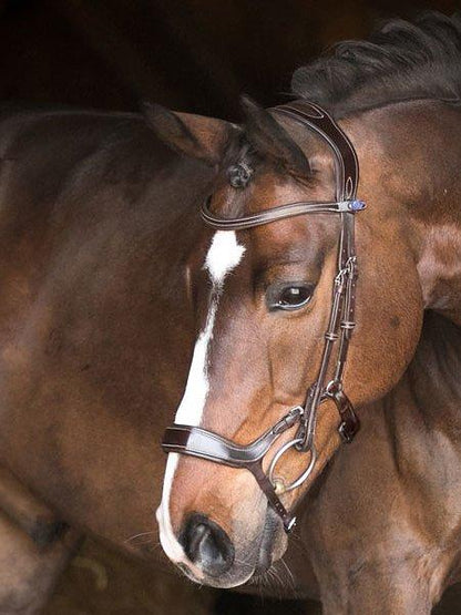 Pioneer - PS Bridles