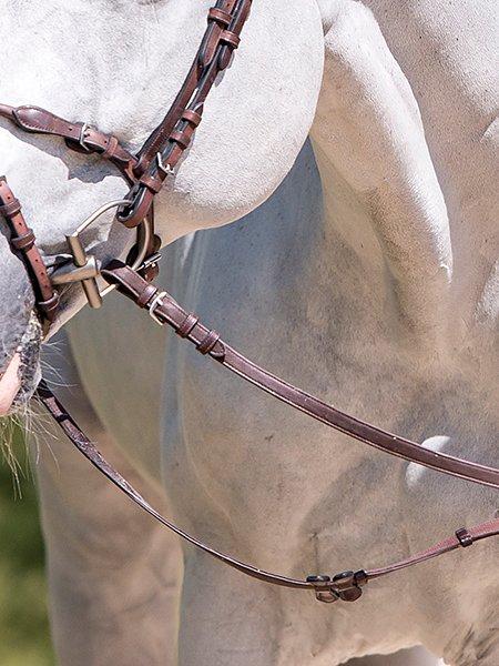 Rein HvE - PS Bridles