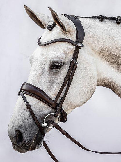 Flying Change - PS Bridles