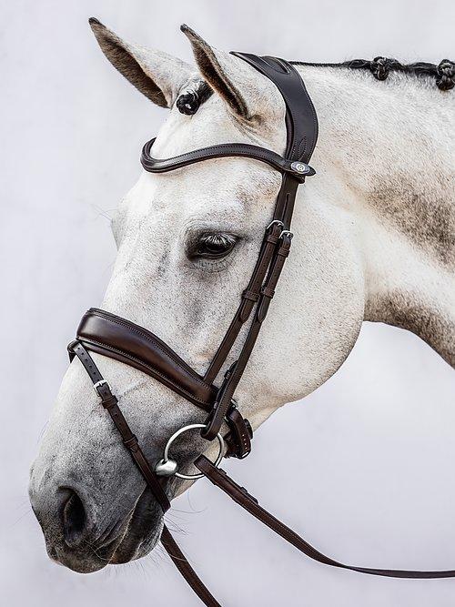 Flying Change - PS Bridles