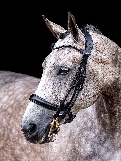 Double Bridle PARRAGON - PS Bridles