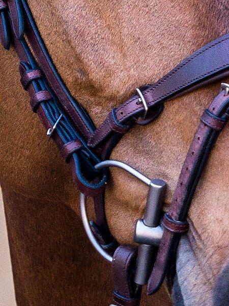 HvE - PS Bridles