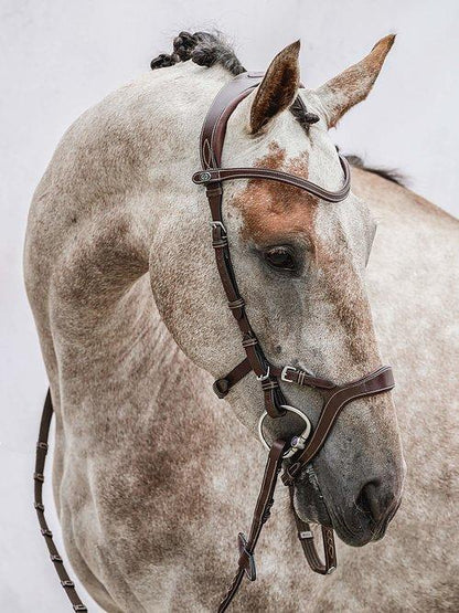 Nirak - PS Bridles