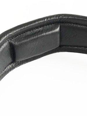 Pioneer - PS Bridles