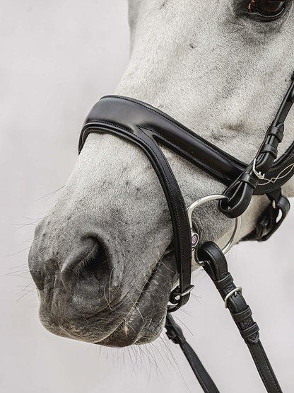 Jump Off Revolution - PS Bridles