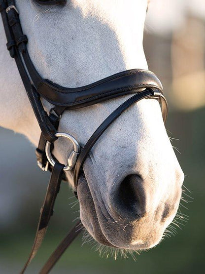 Palladin - PS Bridles