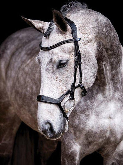 Pioneer - PS Bridles