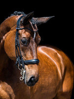 Load image into Gallery viewer, Double Bridle PARRAGON - PS Bridles
