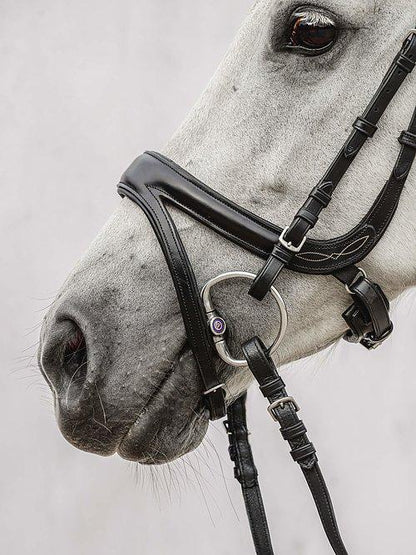 Jump Off Revolution - PS Bridles