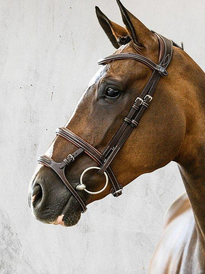 Paris - PS Bridles