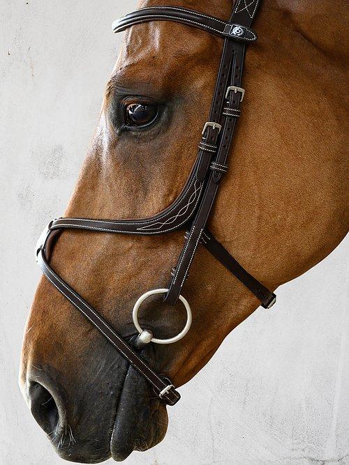 Athens Bridle - PS Bridles