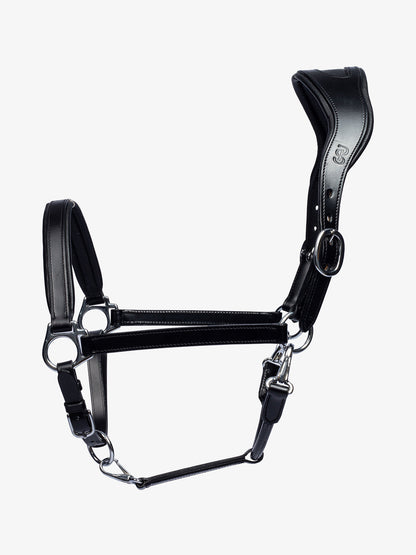 Halter Leather BLACK w Silver Buckles