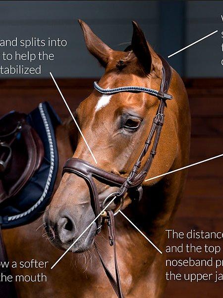 Jump Off Revolution - PS Bridles