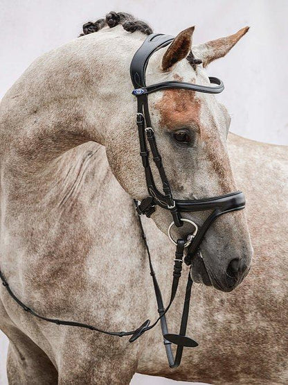 Jump Off Revolution - PS Bridles