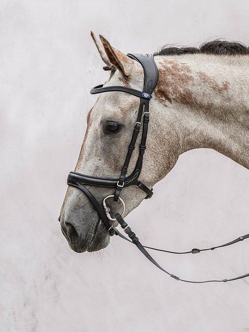 Jump Off Revolution - PS Bridles