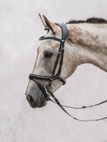 Load image into Gallery viewer, Jump Off Revolution - PS Bridles
