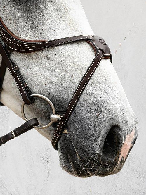 Athens Bridle - PS Bridles