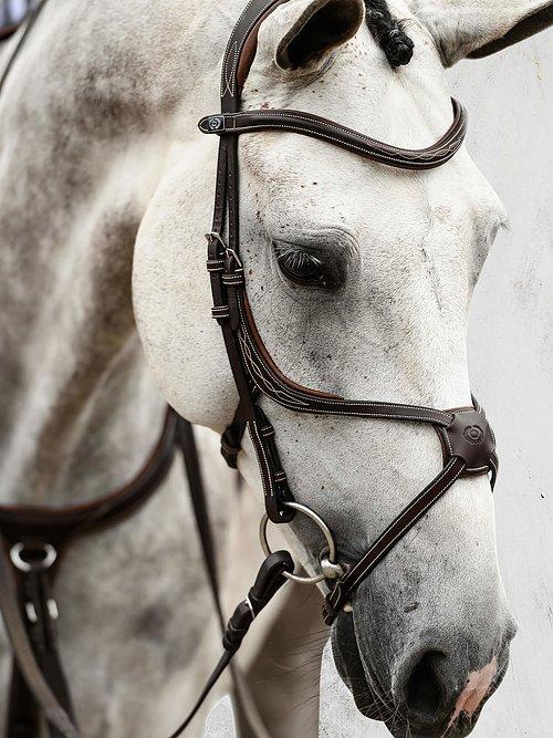 Athens Bridle - PS Bridles