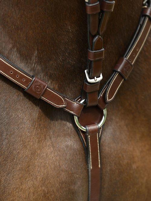 Martingale SEOUL - PS Bridles