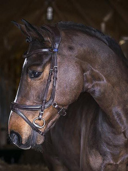 Jump Off Revolution - PS Bridles