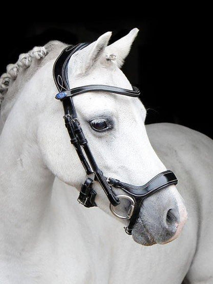 Pioneer - PS Bridles