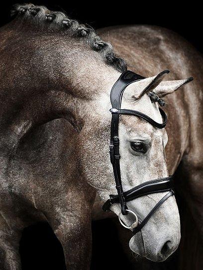 Flying Change - PS Bridles