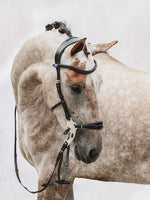 Load image into Gallery viewer, Hackamore - PS Bridles
