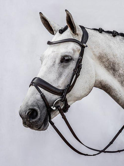 Palladin - PS Bridles