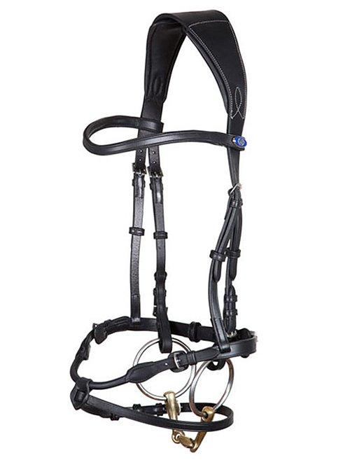 HvE - PS Bridles