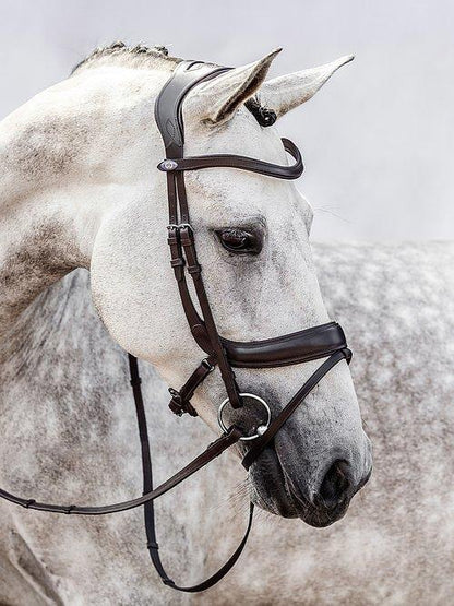 Palladin - PS Bridles