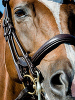 Load image into Gallery viewer, Double Bridle PARRAGON - PS Bridles
