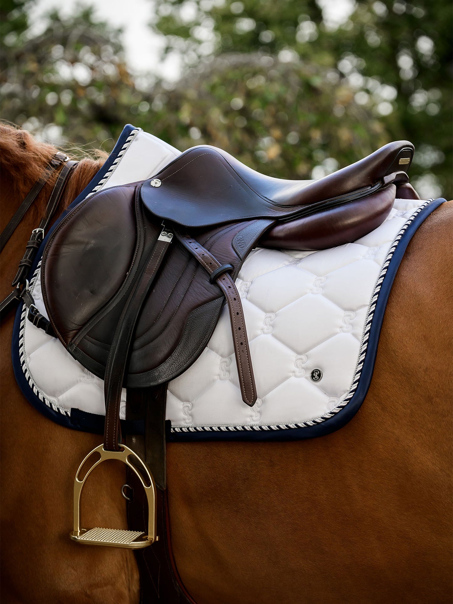 SP Signature WHITE/NAVY Dressage