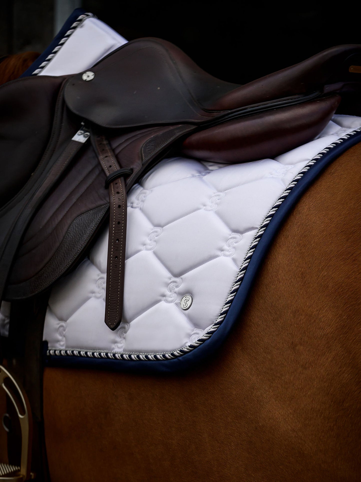 SP Signature WHITE/NAVY Dressage